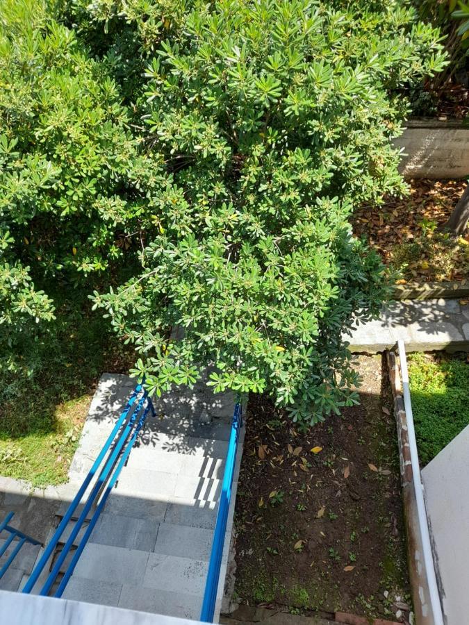 Maisonette Basilissa Неа-Потидеа Экстерьер фото